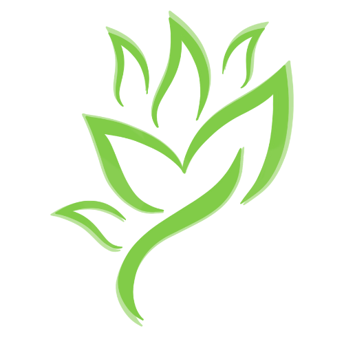 Health and Wellness Mindset